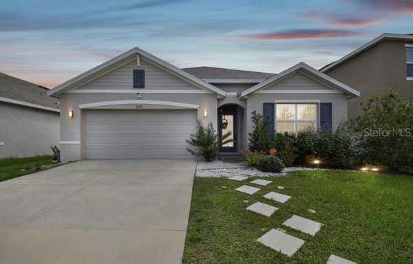 11610 MIRACLE MILE DR, RIVERVIEW, FL 33578 - Image 1