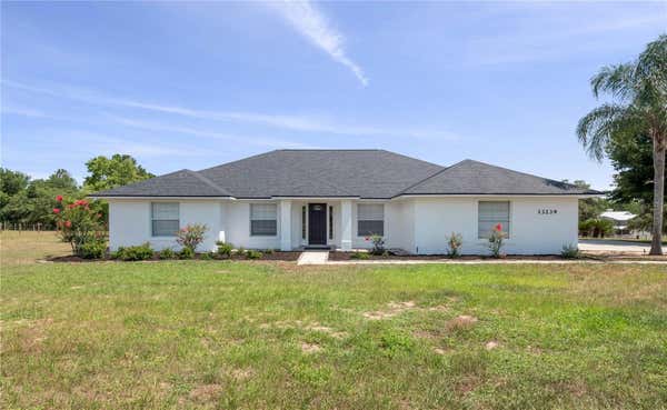 13239 WHITE CYPRESS RD, ASTATULA, FL 34705 - Image 1