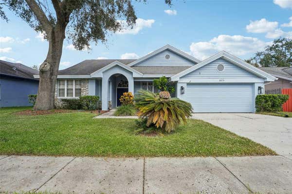 3079 ROBINWOOD LN, PALM HARBOR, FL 34684 - Image 1