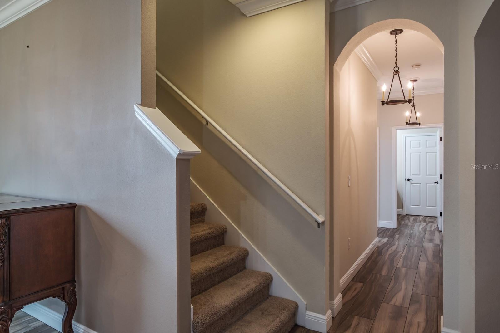 Oldsmar, Florida, 34677, United States, 5 Bedrooms Bedrooms, ,4 BathroomsBathrooms,Residential,Active,1952054