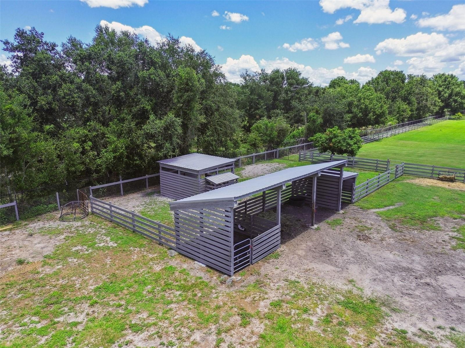 Odessa, Florida, 33556, United States, 5 Bedrooms Bedrooms, ,4 BathroomsBathrooms,Residential,Active,1884999