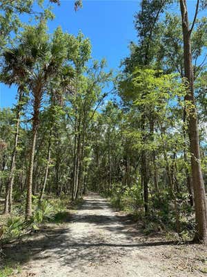 125AC NW 193RD ST, MICANOPY, FL 32667 - Image 1