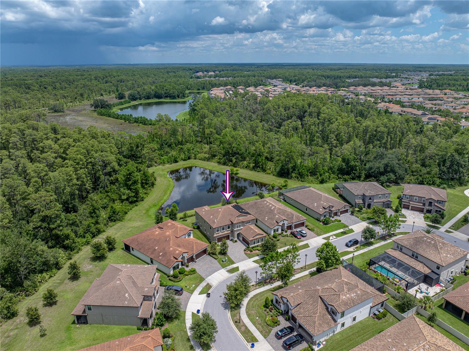 Odessa, Florida, 33556, United States, 5 Bedrooms Bedrooms, ,5 BathroomsBathrooms,Residential,Active,1909867