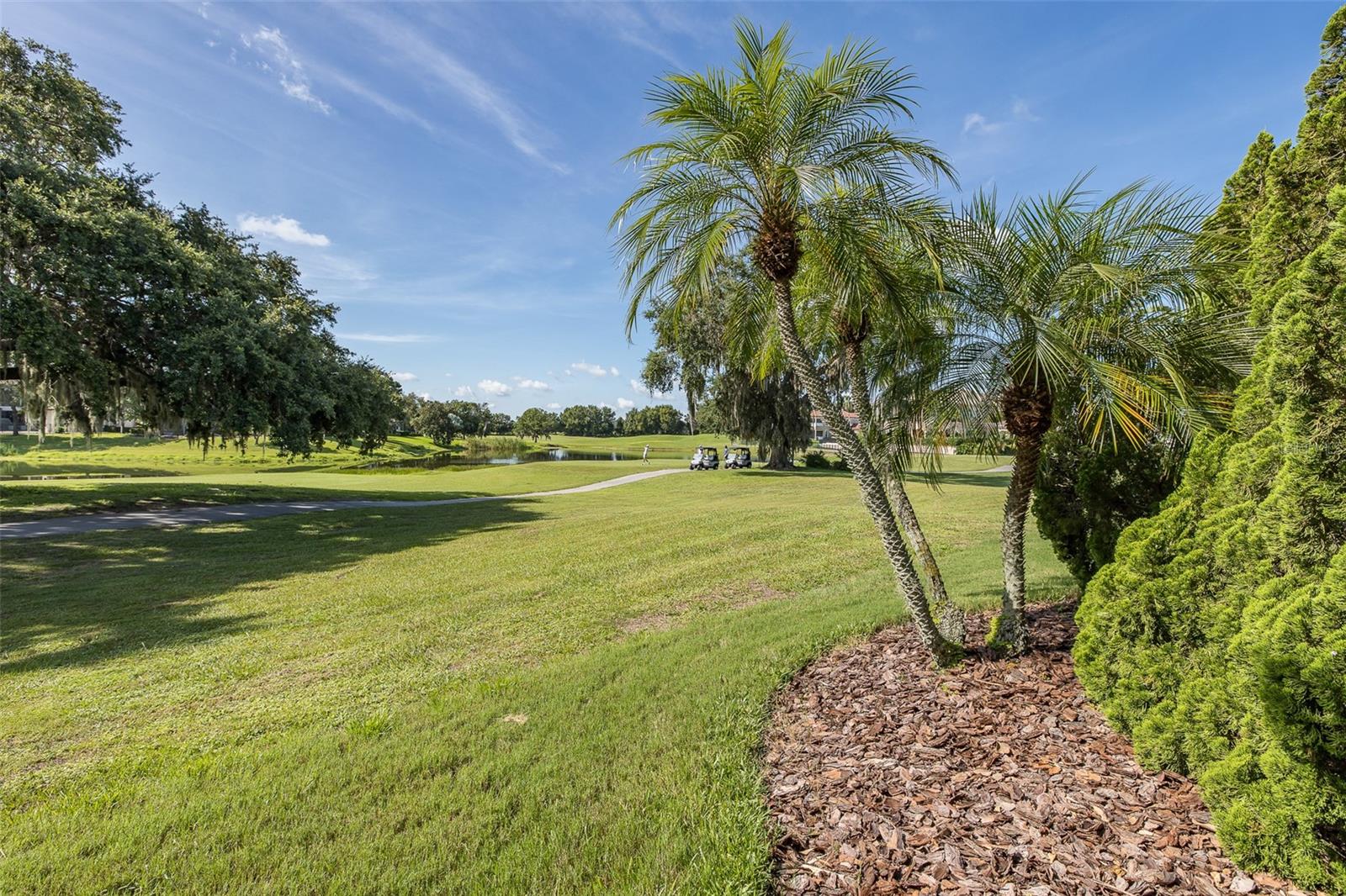 Trinity, Florida, 34655, United States, 4 Bedrooms Bedrooms, ,4 BathroomsBathrooms,Residential,Active,1892429
