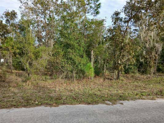 11755 N BELLUZZI TER, DUNNELLON, FL 34433 - Image 1