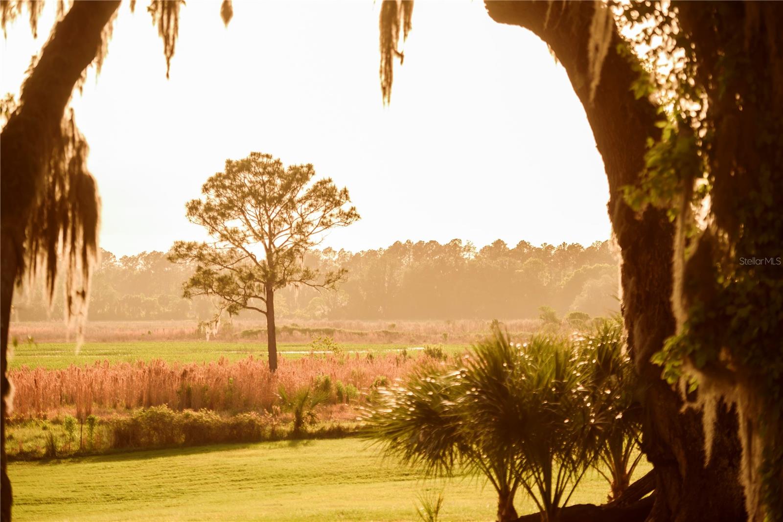 Gainesville, Florida, 32608, United States, 4 Bedrooms Bedrooms, ,3 BathroomsBathrooms,Residential,Active,1989761