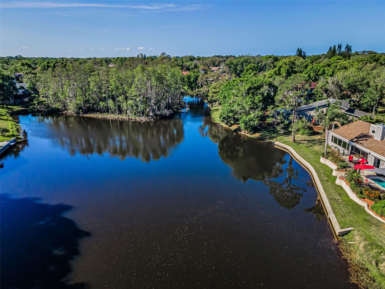 Palm Harbor, Florida, 34683, United States, 4 Bedrooms Bedrooms, ,4 BathroomsBathrooms,Residential,Active,2036020