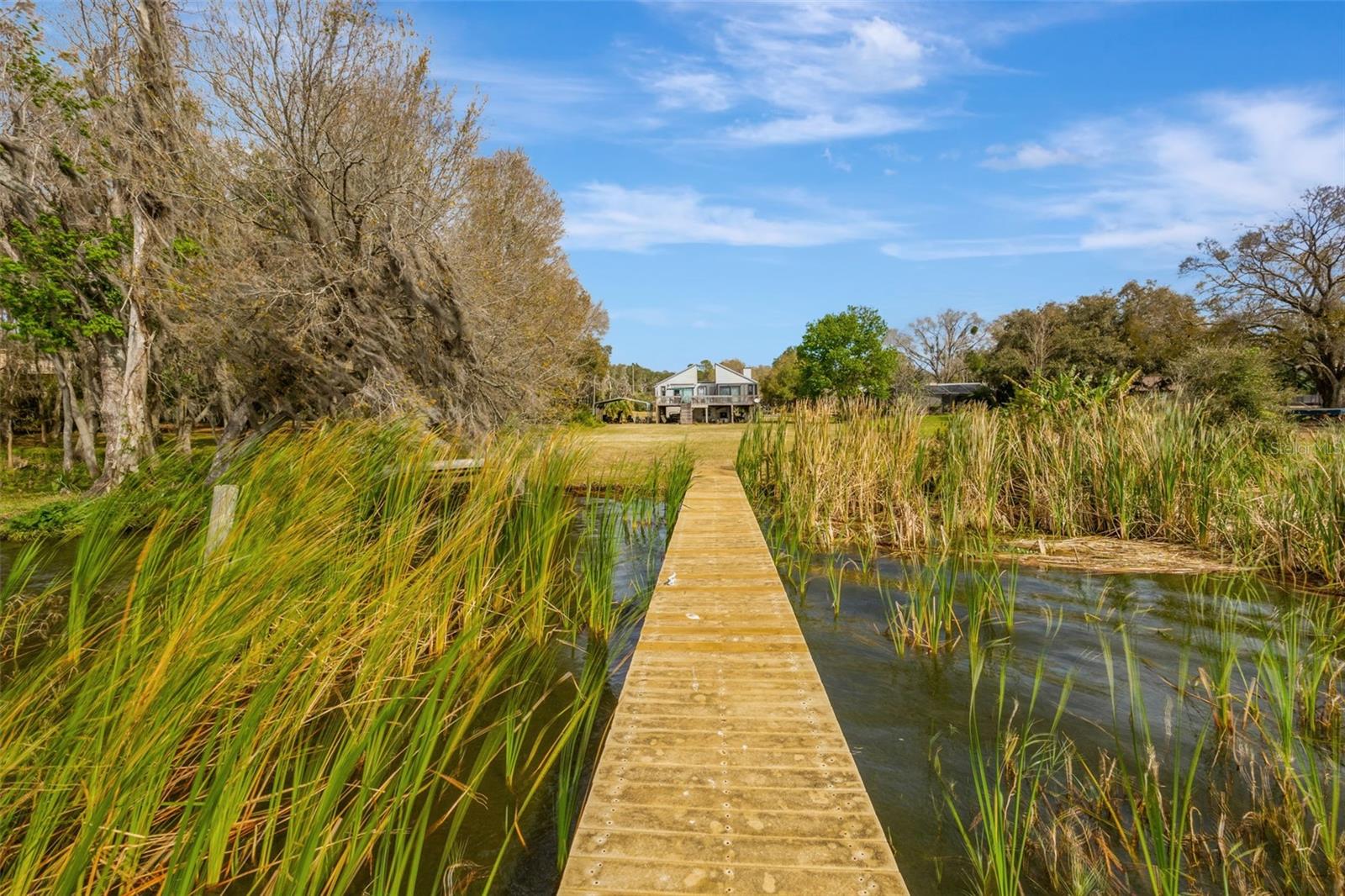 Thonotosassa, Florida, 33592, United States, 2 Bedrooms Bedrooms, ,2 BathroomsBathrooms,Residential,Active,1945271