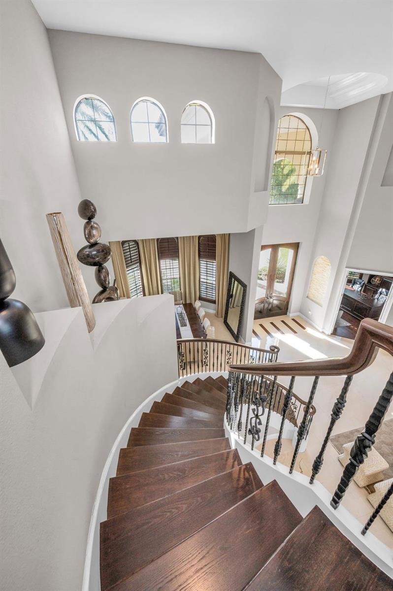 Trinity, Florida, 34655, United States, 6 Bedrooms Bedrooms, ,7 BathroomsBathrooms,Residential,Active,1952300