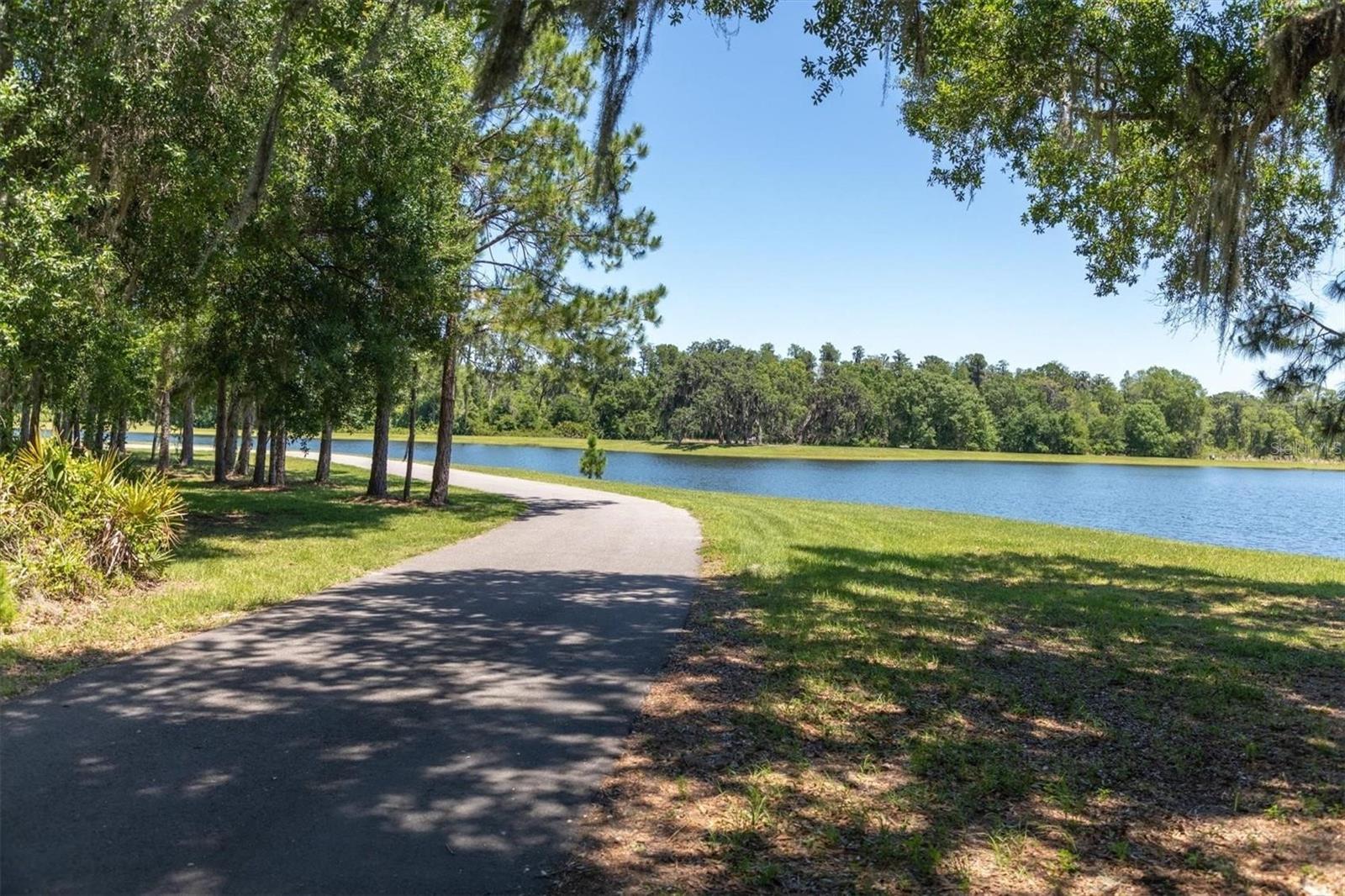 Odessa, Florida, 33556, United States, 5 Bedrooms Bedrooms, ,5 BathroomsBathrooms,Residential,Active,1927675