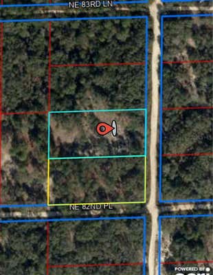 00 NE 122ND COURT, BRONSON, FL 32621 - Image 1