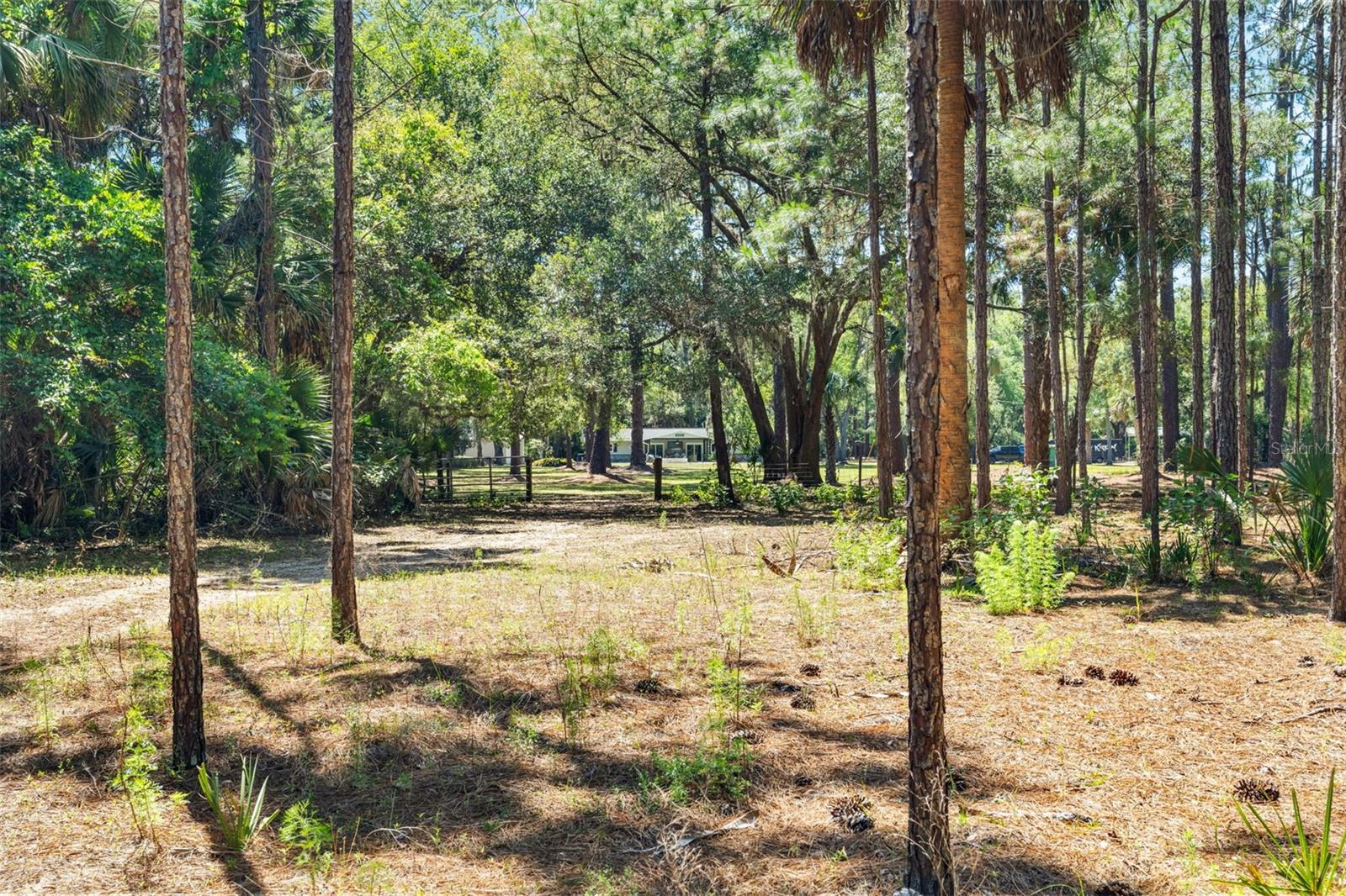 Crystal River, Florida, 34428, United States, 3 Bedrooms Bedrooms, ,3 BathroomsBathrooms,Residential,Active,2045556