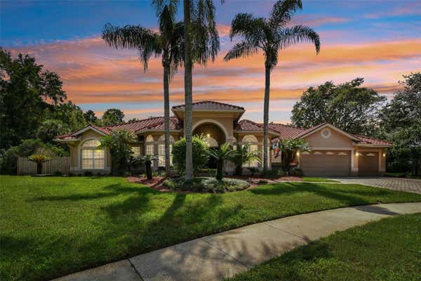 16001 LANGHORNE CT, TAMPA, FL 33647 - Image 1