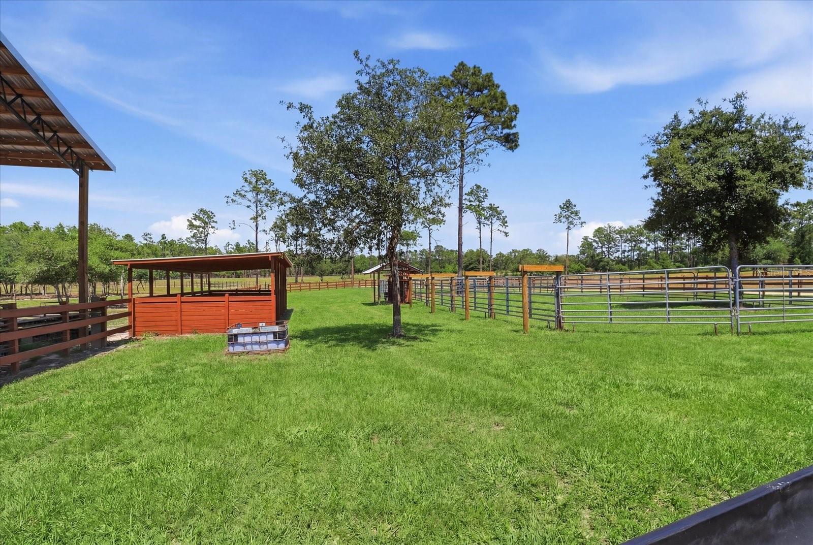 Dunnellon, Florida, 34433, United States, 3 Bedrooms Bedrooms, ,2 BathroomsBathrooms,Residential,Active,2052129
