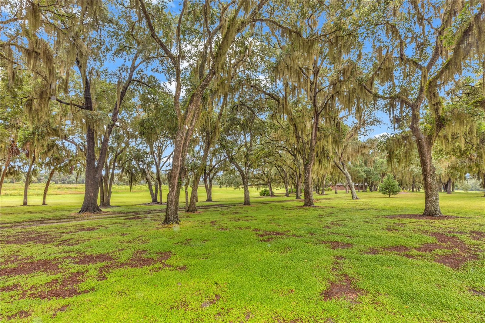 Crystal River, Florida, 34428, United States, 6 Bedrooms Bedrooms, ,5 BathroomsBathrooms,Residential,Active,1945058