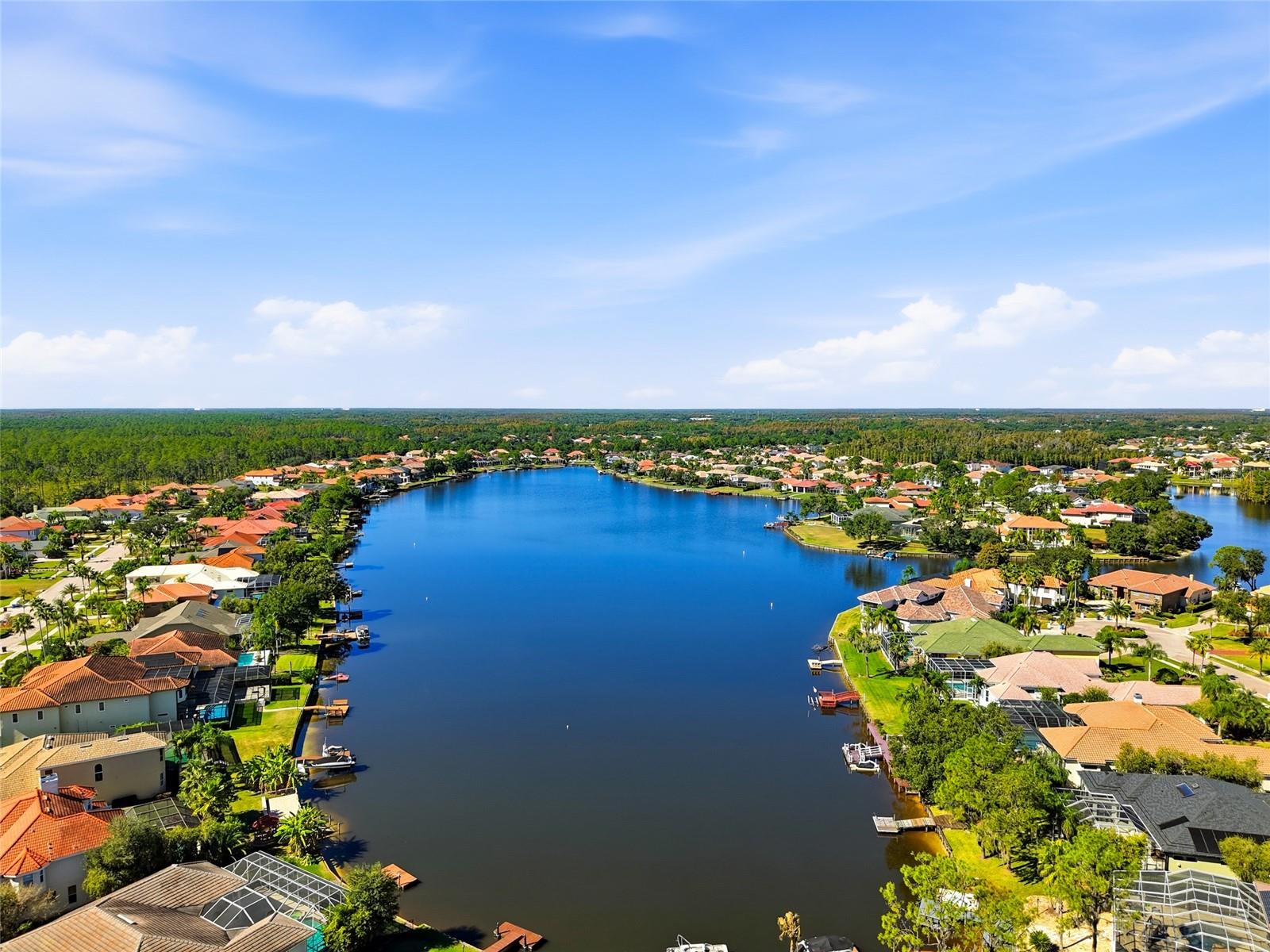 Tampa, Florida, 33647, United States, 5 Bedrooms Bedrooms, ,5 BathroomsBathrooms,Residential,Active,1990671