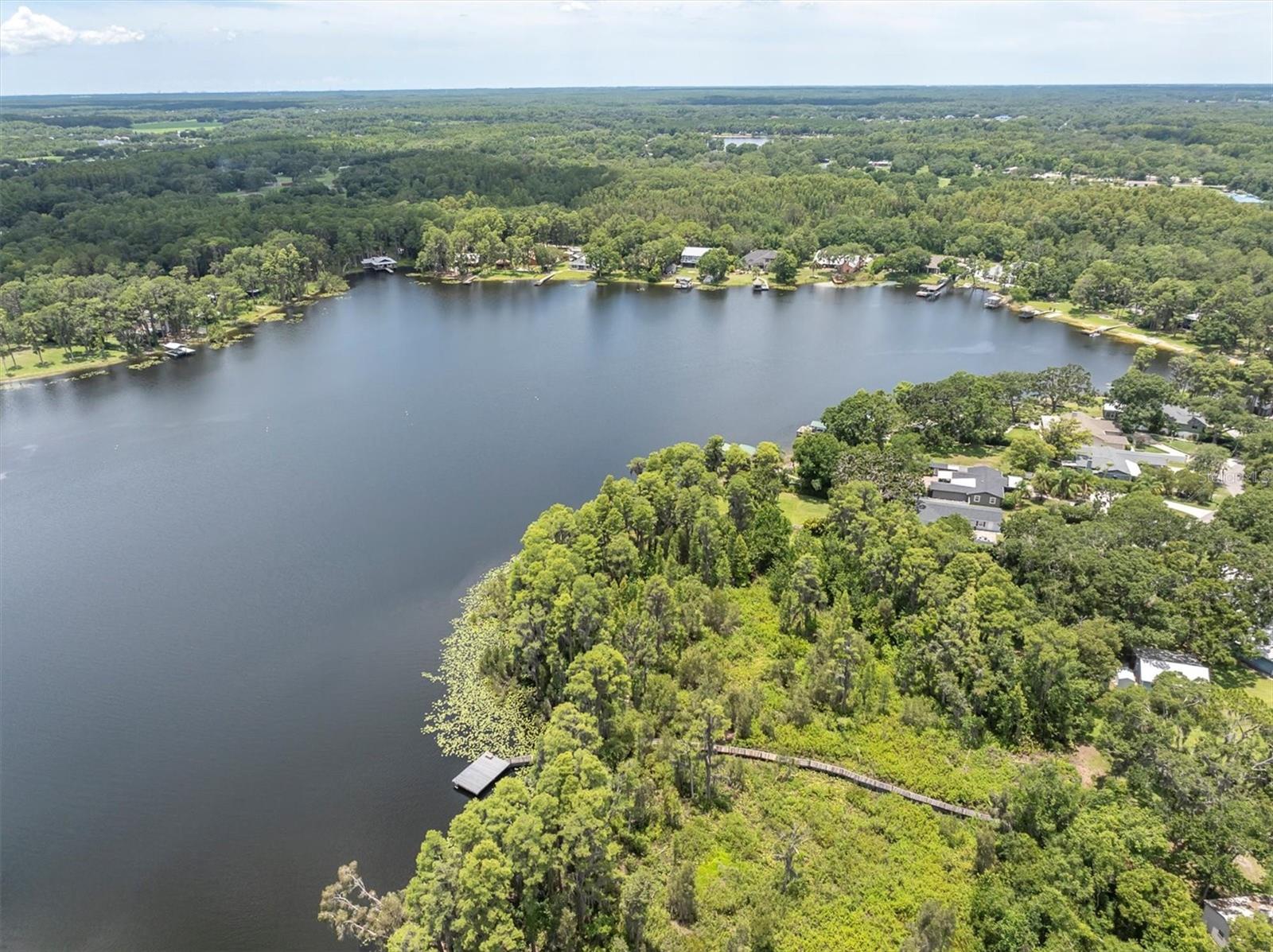 Odessa, Florida, 33556, United States, 4 Bedrooms Bedrooms, ,3 BathroomsBathrooms,Residential,Active,1871641