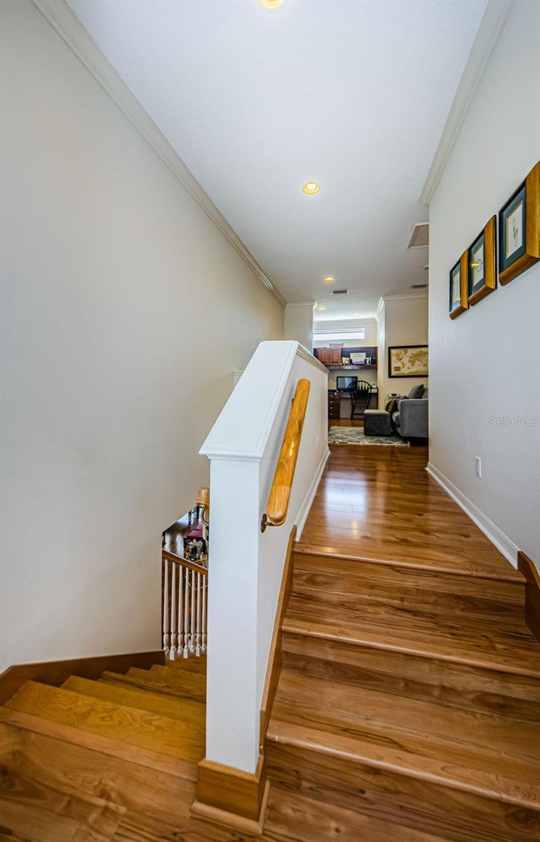 Tarpon Springs, Florida, 34688, United States, 5 Bedrooms Bedrooms, ,4 BathroomsBathrooms,Residential,Active,1853279