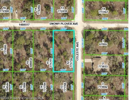 13290 SNOWY PLOVER AVE, WEEKI WACHEE, FL 34614 - Image 1