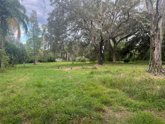 4023 LADO DR, WESLEY CHAPEL, FL 33543 - Image 1