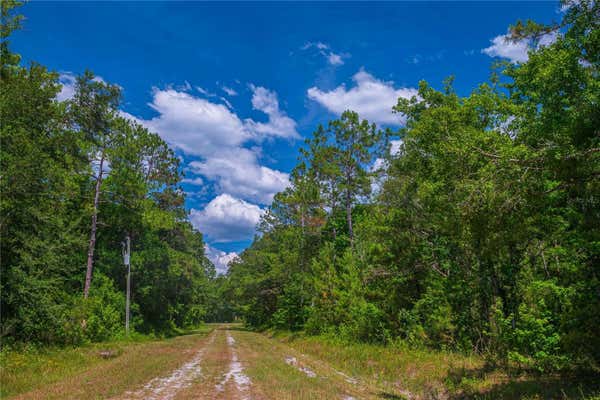 4775 DORA ST, HASTINGS, FL 32145, photo 4 of 34