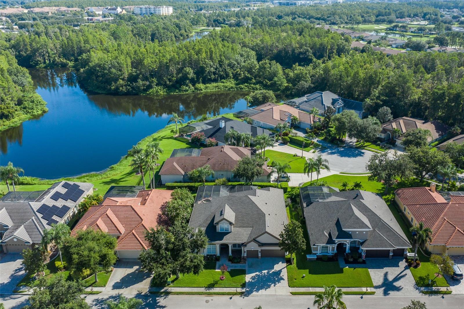 Trinity, Florida, 34655, United States, 5 Bedrooms Bedrooms, ,4 BathroomsBathrooms,Residential,Active,1922329