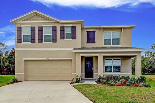 33351 APRICOT TREE CT, WESLEY CHAPEL, FL 33543 - Image 1