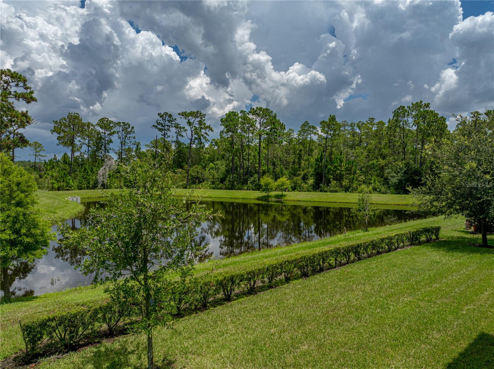 Odessa, Florida, 33556, United States, 5 Bedrooms Bedrooms, ,5 BathroomsBathrooms,Residential,Active,1909867