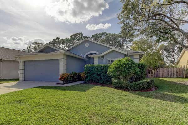 11111 INDIAN OAKS DR, TAMPA, FL 33625 - Image 1