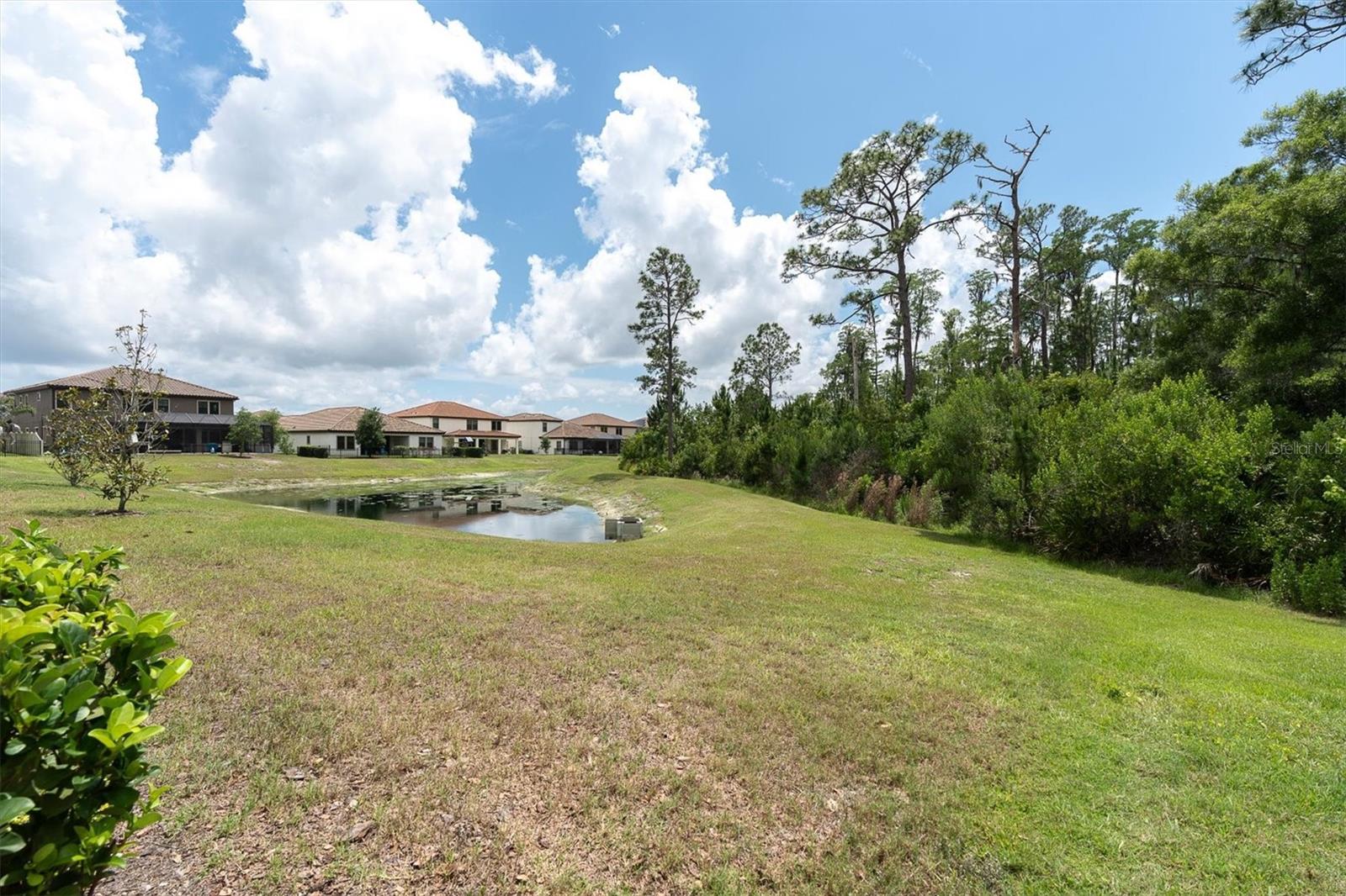 Odessa, Florida, 33556, United States, 5 Bedrooms Bedrooms, ,4 BathroomsBathrooms,Residential,Active,2045800