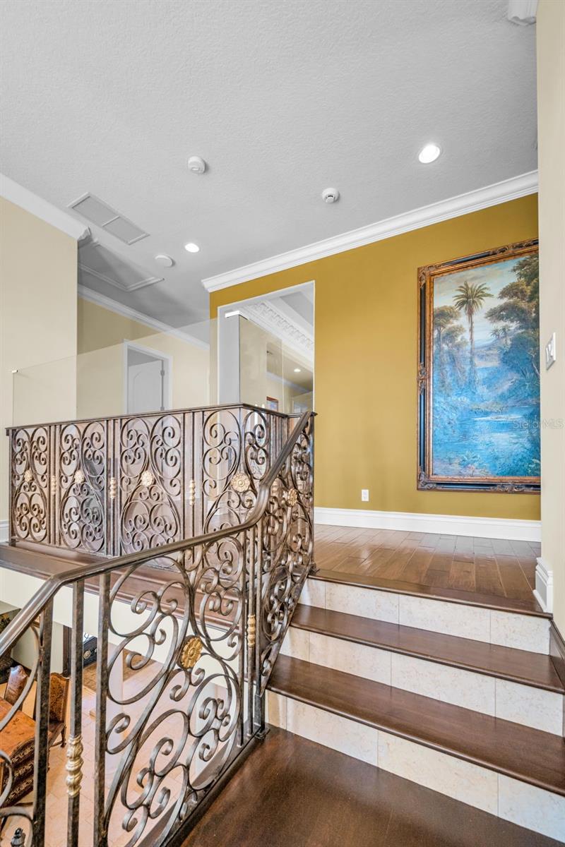 Trinity, Florida, 34655, United States, 5 Bedrooms Bedrooms, ,6 BathroomsBathrooms,Residential,Pending,2045561