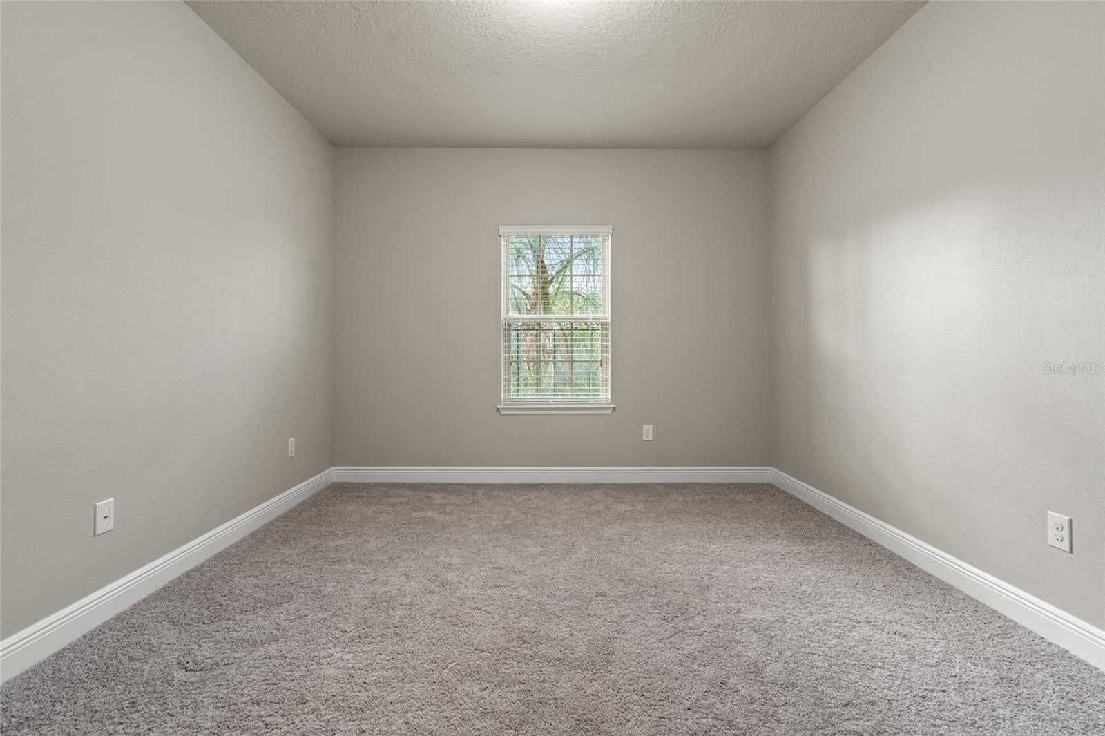 Lutz, Florida, 33549, United States, 7 Bedrooms Bedrooms, ,5 BathroomsBathrooms,Residential,Active,1934823