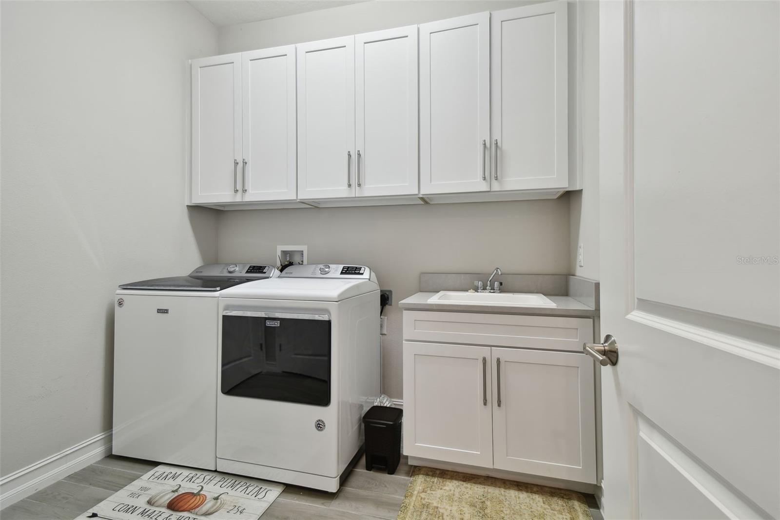 Odessa, Florida, 33556, United States, 5 Bedrooms Bedrooms, ,4 BathroomsBathrooms,Residential,Active,1941133