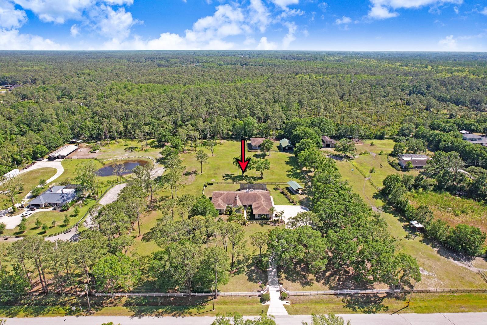 Tarpon Springs, Florida, 34688, United States, 4 Bedrooms Bedrooms, ,4 BathroomsBathrooms,Residential,Active,1841287