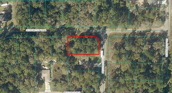 00 SEQUOIA LOOP LANE, OCKLAWAHA, FL 32179 - Image 1