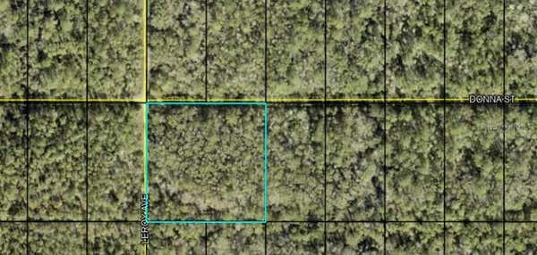 LEROY AVE, HASTINGS, FL 32145 - Image 1