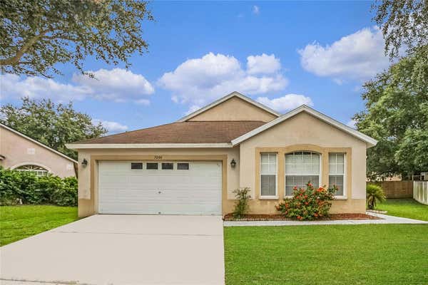 3006 SUMMER CRUISE DR, VALRICO, FL 33594 - Image 1