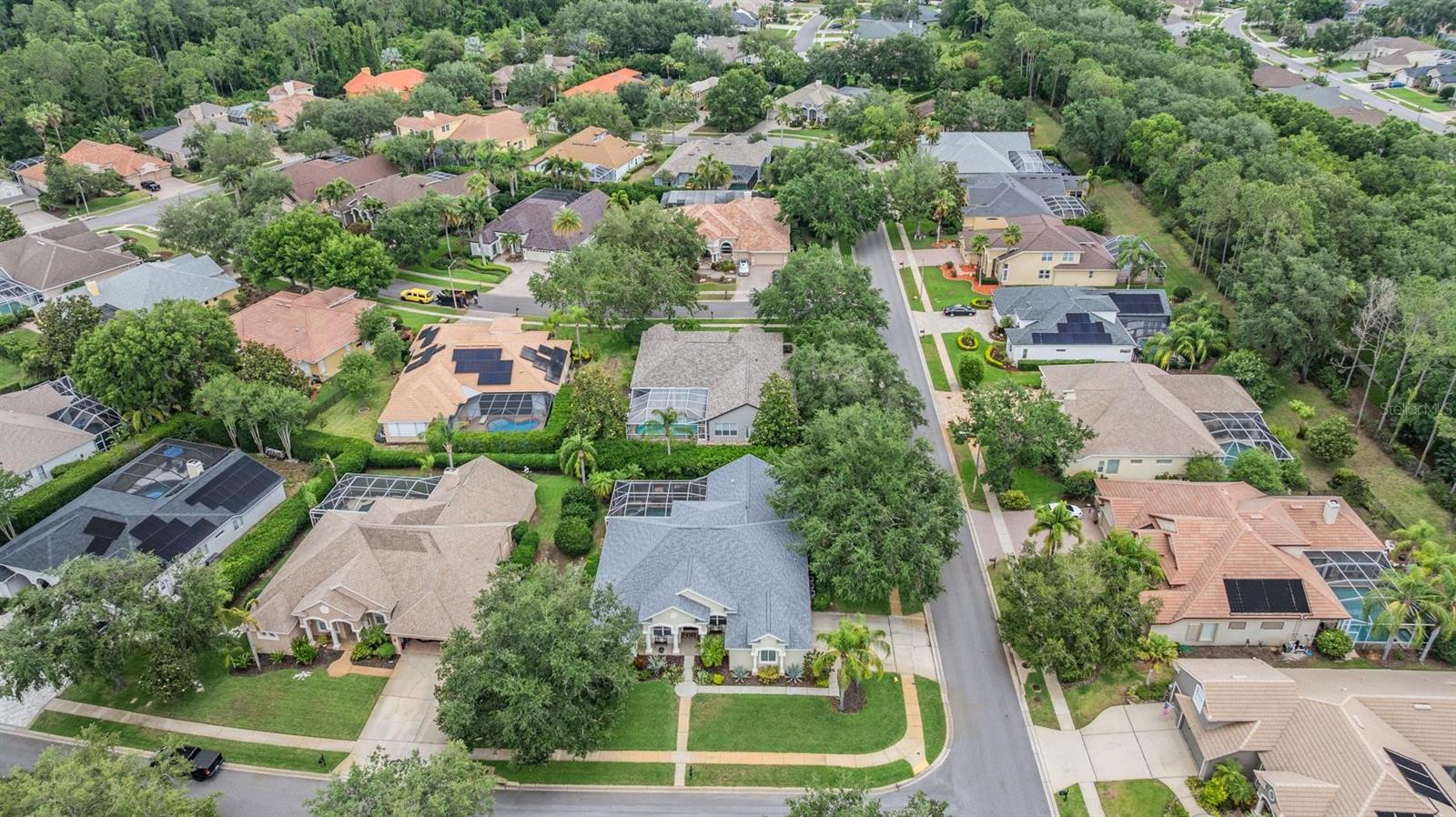 Palm Harbor, Florida, 34685, United States, ,4 BathroomsBathrooms,Residential,Active,1810371