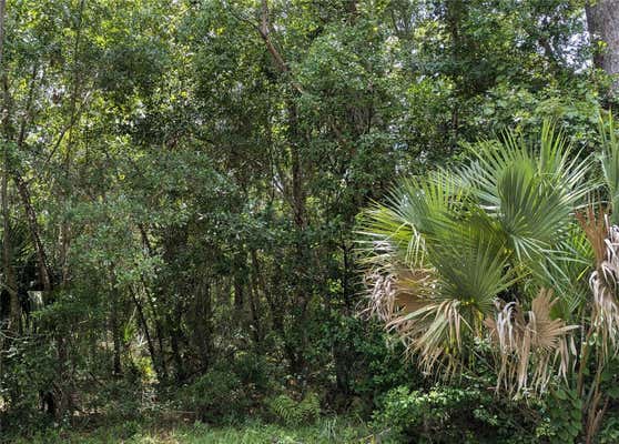 LOT 7 NE HUNTER CIRCLE, MICANOPY, FL 32667 - Image 1