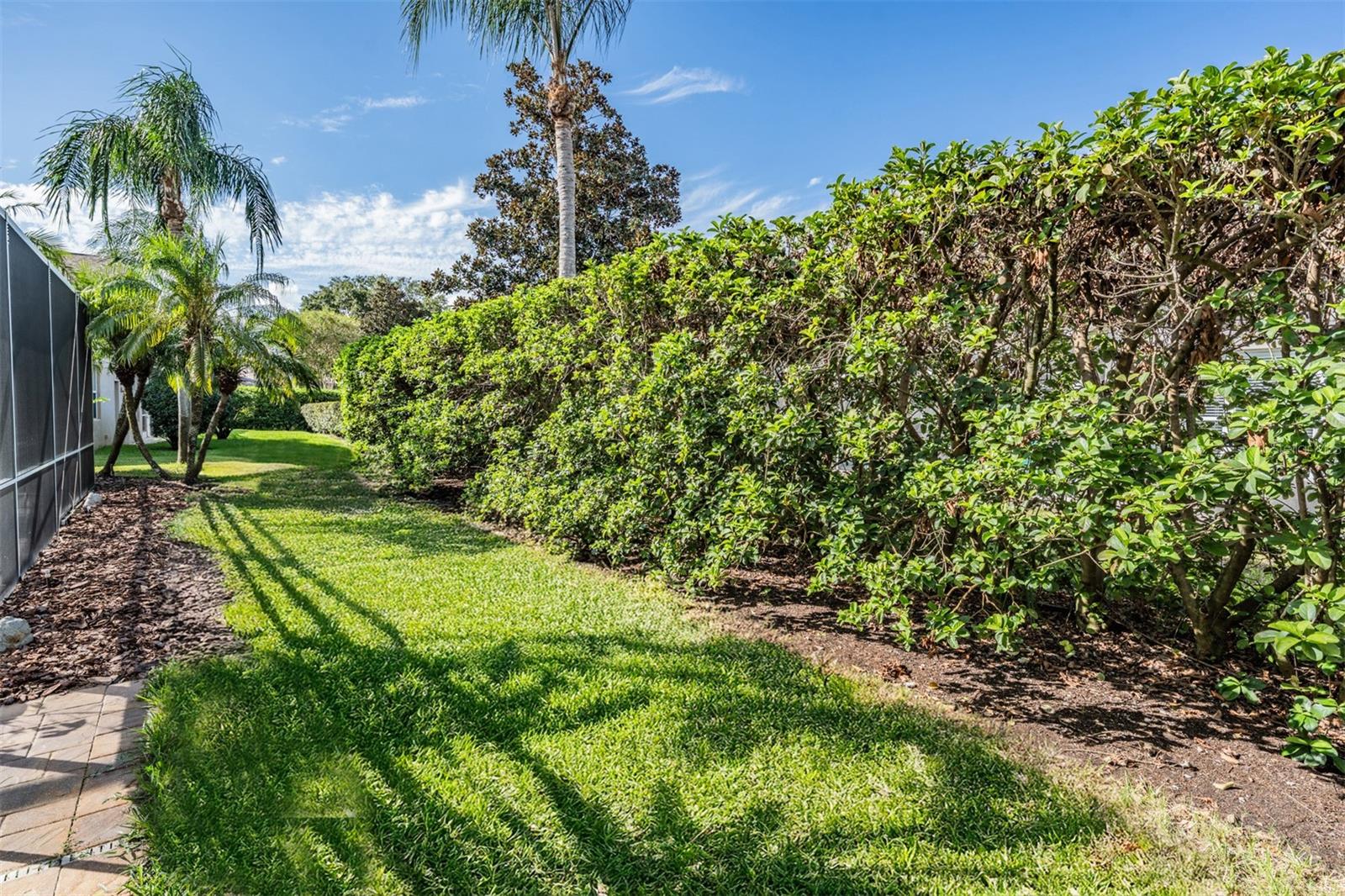 Palm Harbor, Florida, 34685, United States, ,4 BathroomsBathrooms,Residential,Active,1810371