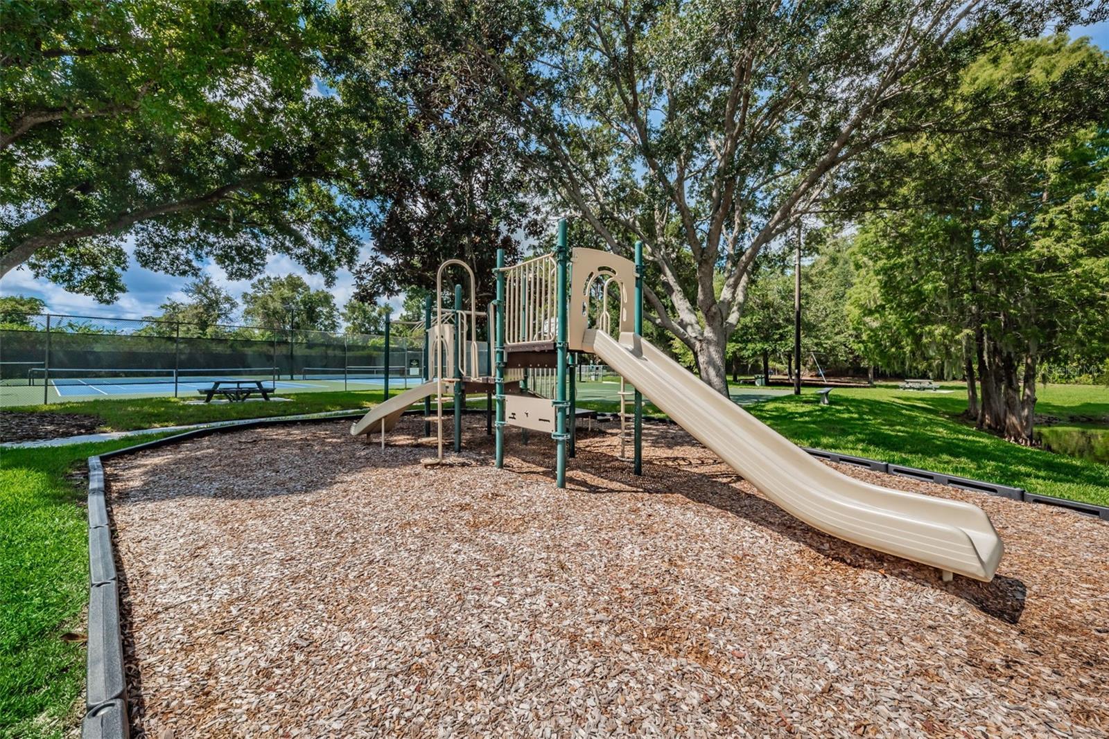 Palm Harbor, Florida, 34683, United States, 4 Bedrooms Bedrooms, ,4 BathroomsBathrooms,Residential,Active,2036020