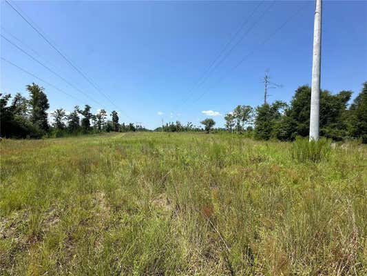 NW BAILEY CEMETARY RD, ALTHA, FL 32421, photo 2 of 18