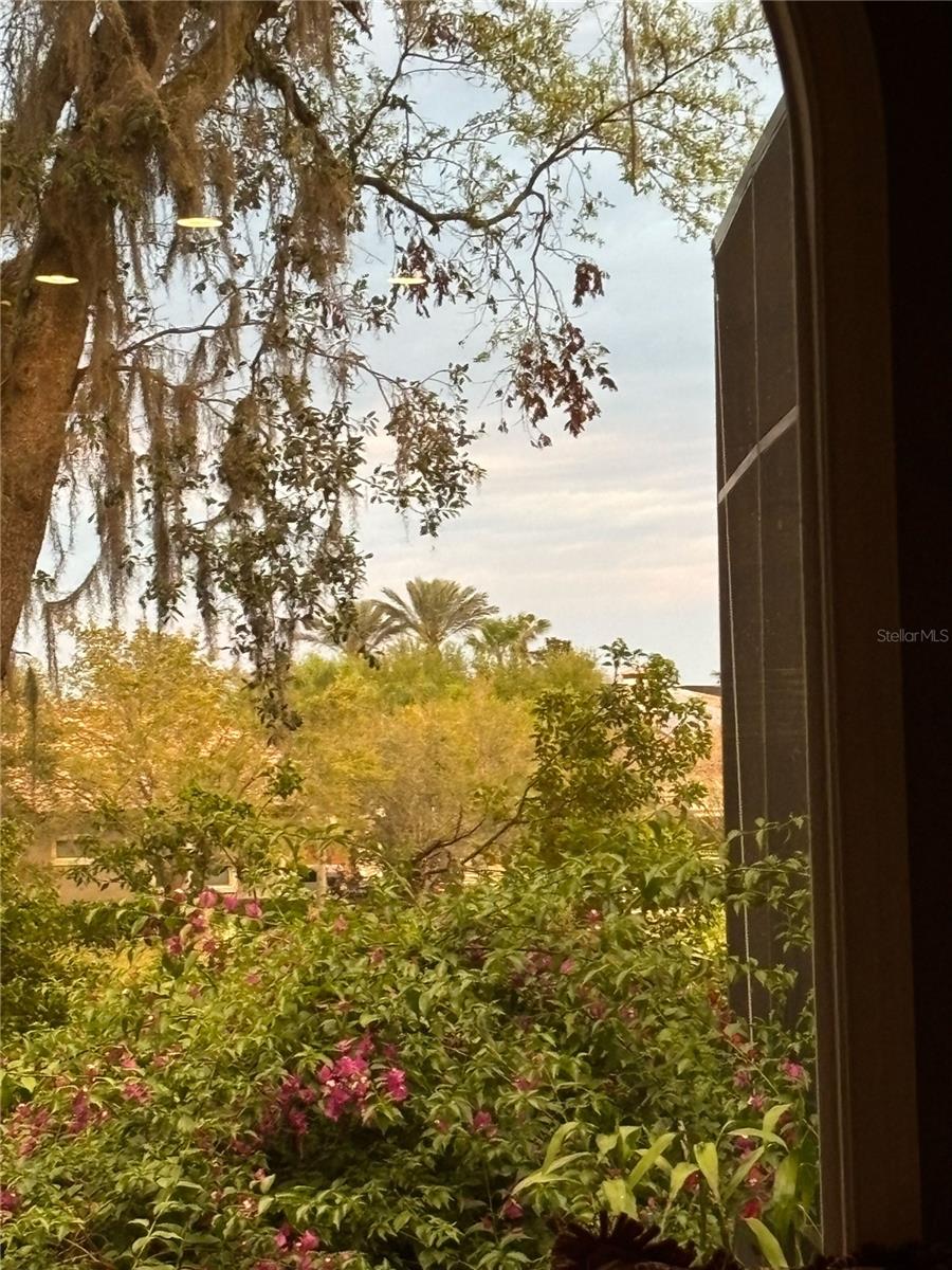 Sanford, Florida, 32771, United States, 5 Bedrooms Bedrooms, ,5 BathroomsBathrooms,Residential,Active,2017886