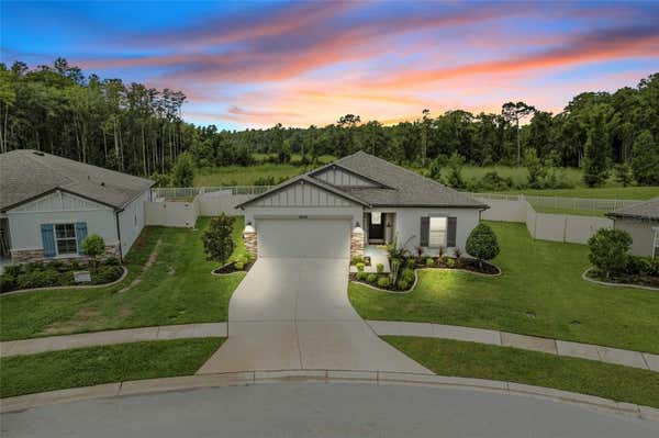 18696 ALFARO LOOP, SPRING HILL, FL 34610 - Image 1