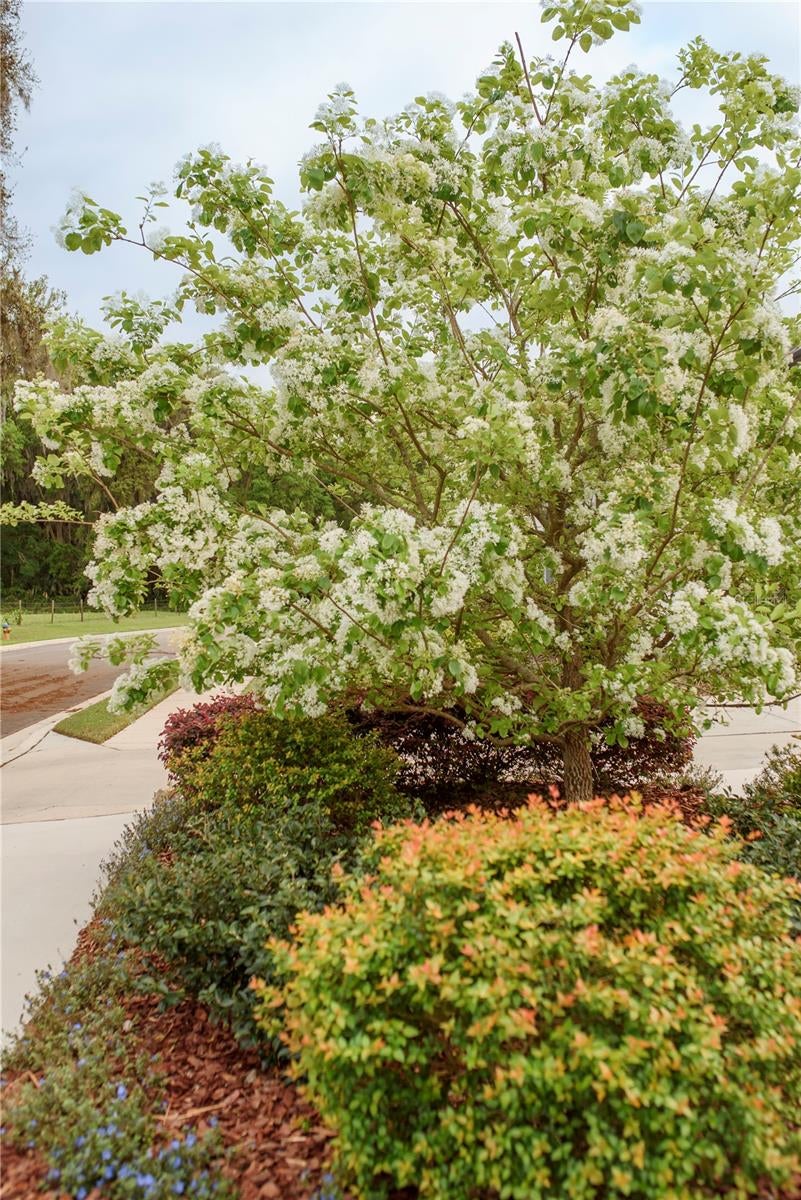 Gainesville, Florida, 32608, United States, 4 Bedrooms Bedrooms, ,3 BathroomsBathrooms,Residential,Active,1989761