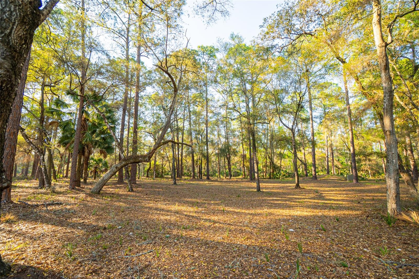 Silver Springs, Florida, 34488, United States, 3 Bedrooms Bedrooms, ,2 BathroomsBathrooms,Residential,Active,2044580