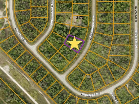 LOT 13 FLAMBEAU AVENUE, NORTH PORT, FL 34288 - Image 1