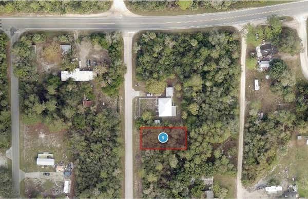 TBD PALMETTO STREET, PAISLEY, FL 32767 - Image 1