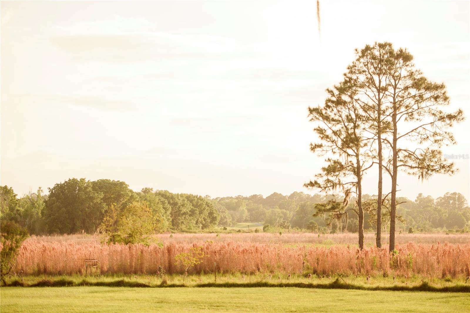 Gainesville, Florida, 32608, United States, 4 Bedrooms Bedrooms, ,3 BathroomsBathrooms,Residential,Active,1989761