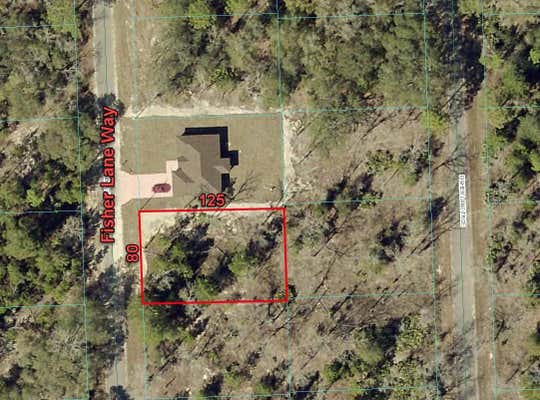 TBD FISHER LANE WAY, OCKLAWAHA, FL 32179 - Image 1